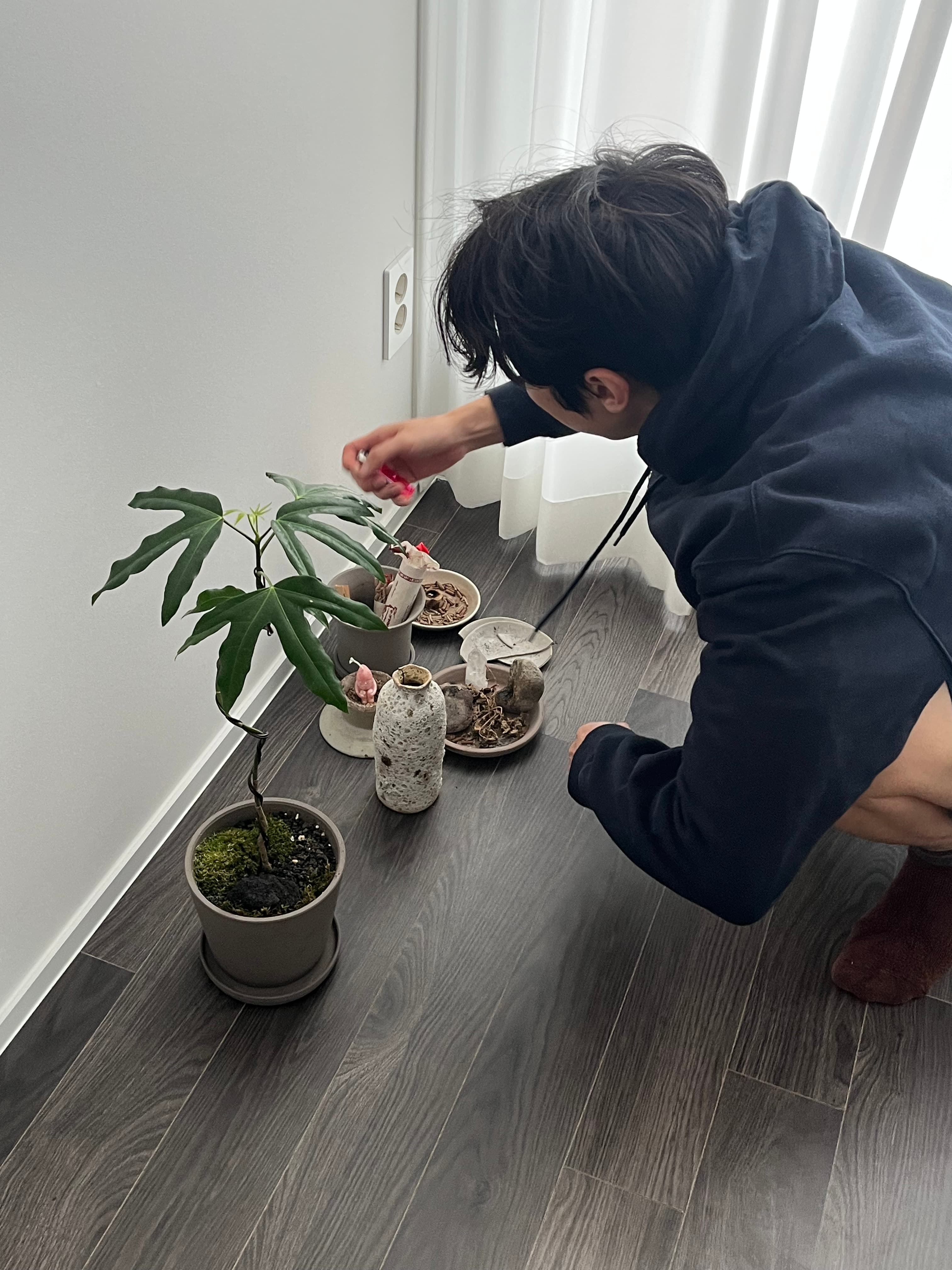 feed